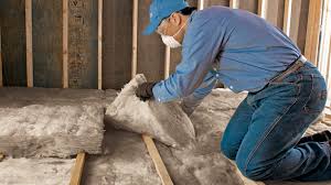 Eco-Friendly Insulation Solutions in Volo, IL